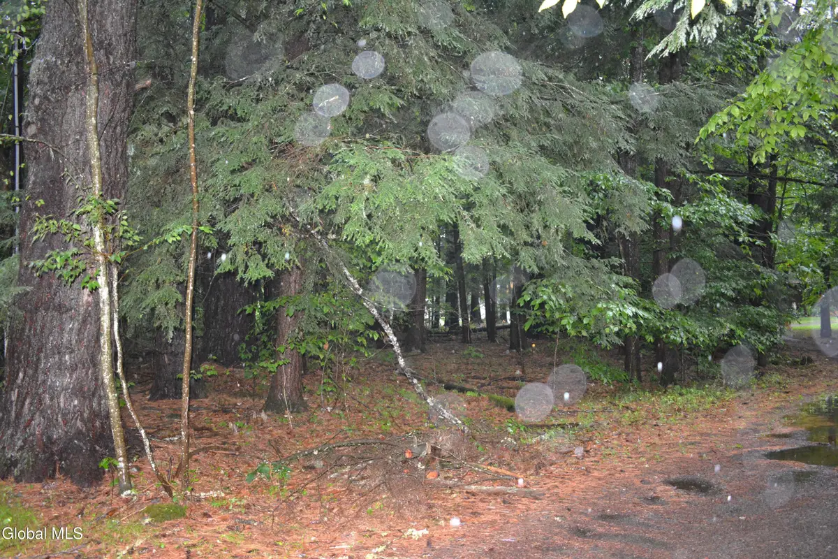 0 Stable Drive, Lake Luzerne, NY 12846 - #1