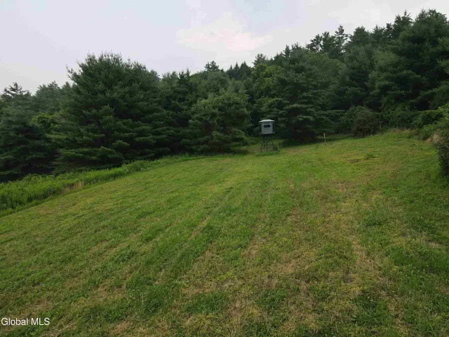 202 Eagle Bridge Road, Eagle Bridge, NY 12057 - #2