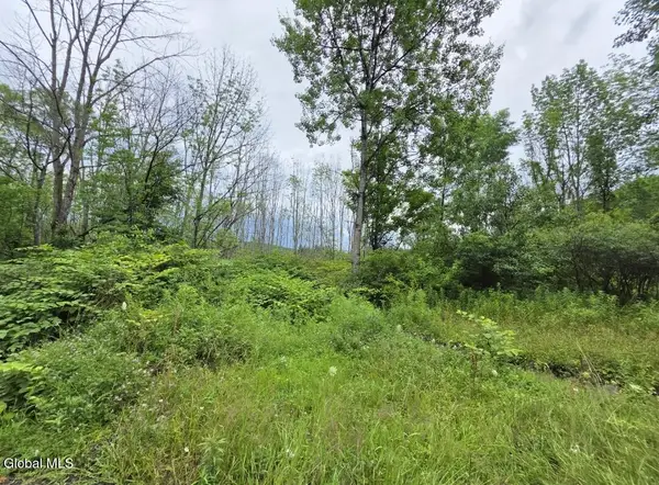 L-28.03 Halbert Hill Road #L-28.03, Butternuts, NY 13843