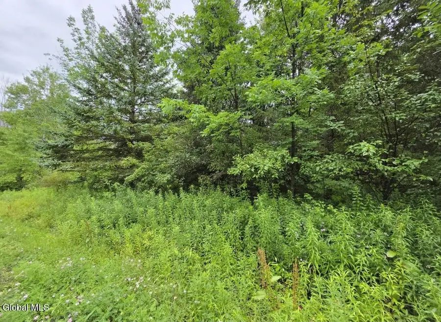 L-28.03 Halbert Hill Road #L-28.03, Butternuts, NY 13843 - #2