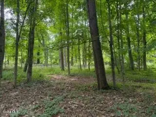 5 Frasier Road, Greenfield, NY 12833 - #1