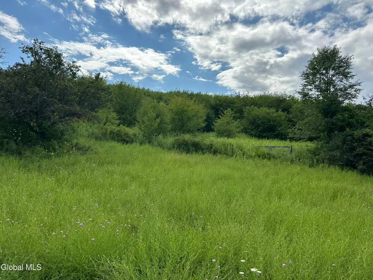 L53 New York 66, Malden Bridge, NY 12115 - #1