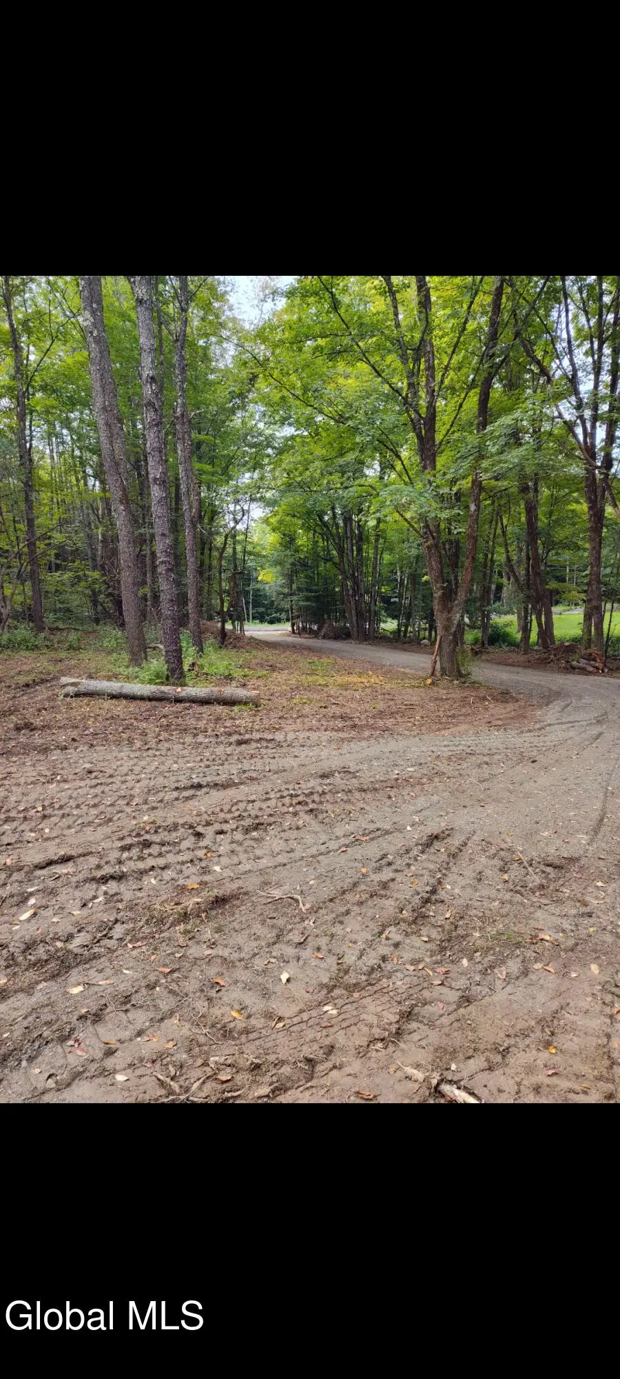 63 Varville Road, Petersburgh, NY 12138 - #2