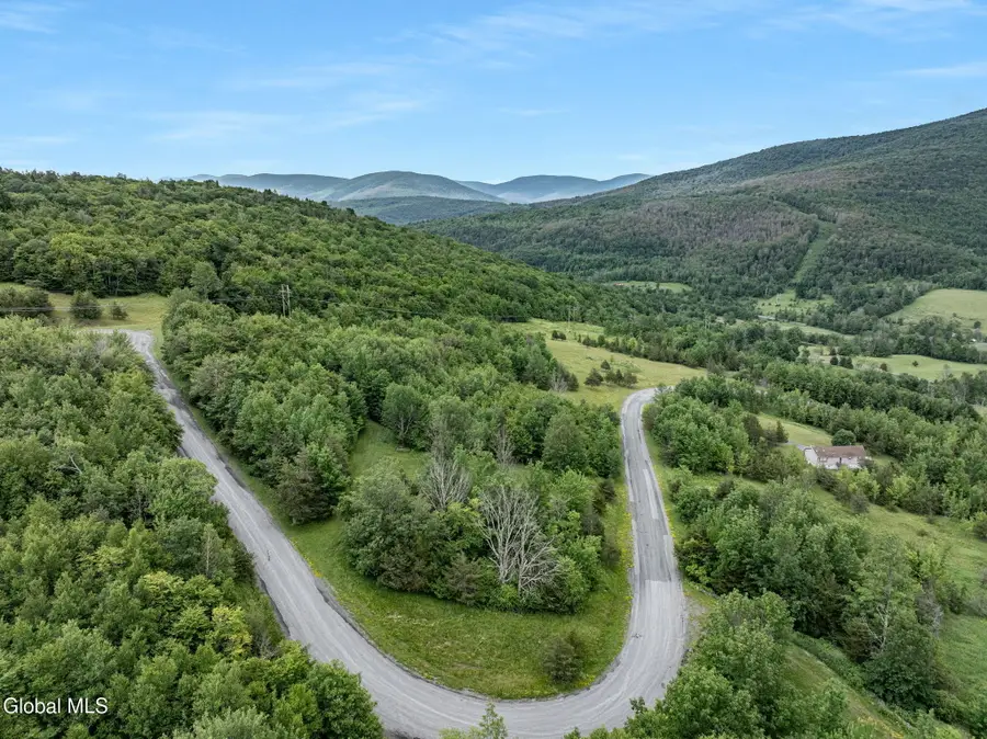 L40 Overlook Drive, Lexington, NY 12452 - #2