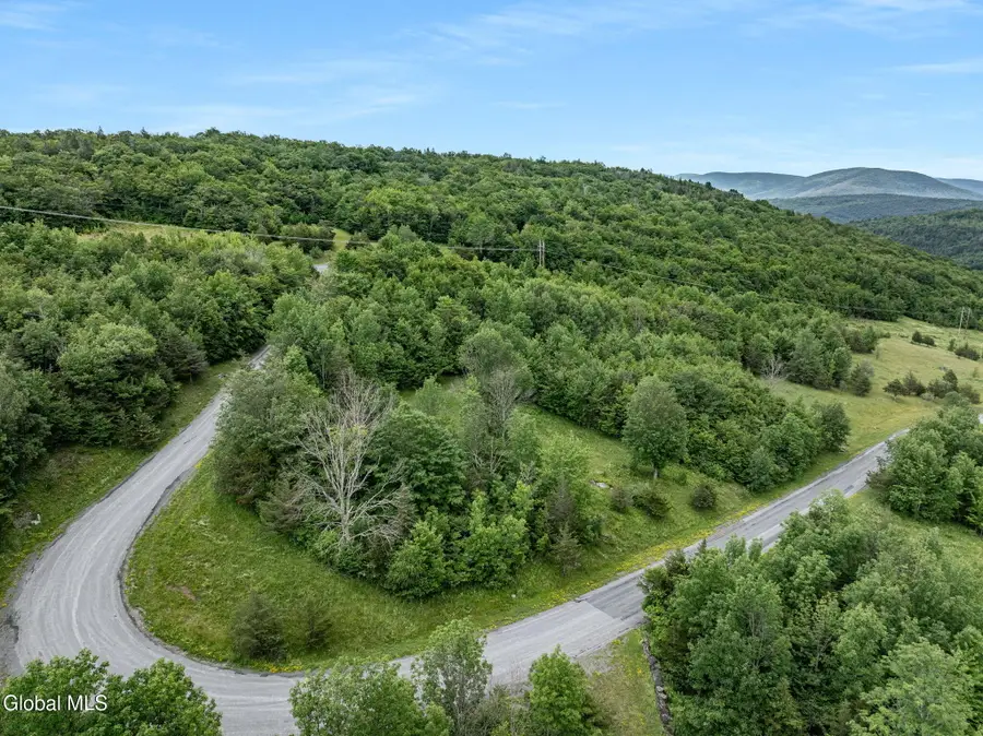 L40 Overlook Drive, Lexington, NY 12452 - #3