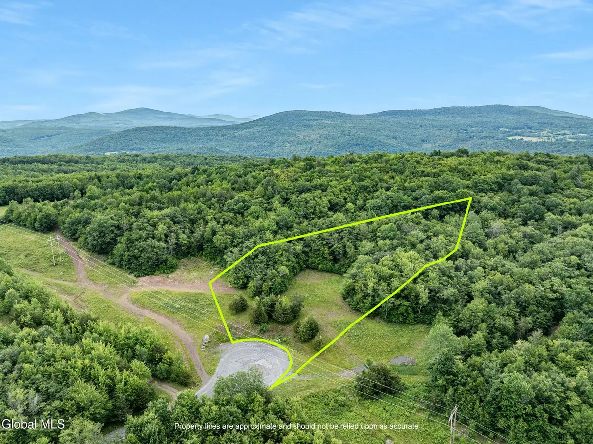 L39 Overlook Drive, Lexington, NY 12452 - #1