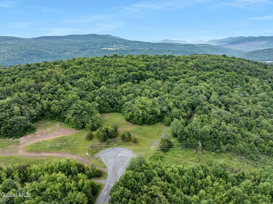 L39 Overlook Drive, Lexington, NY 12452 - #3