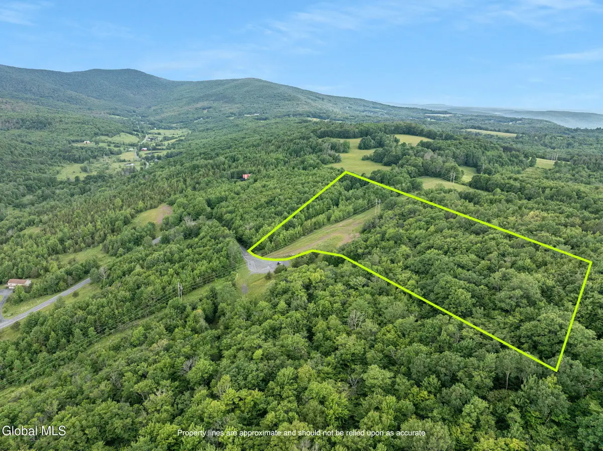 L36 Overlook Drive, Lexington, NY 12452 - #1