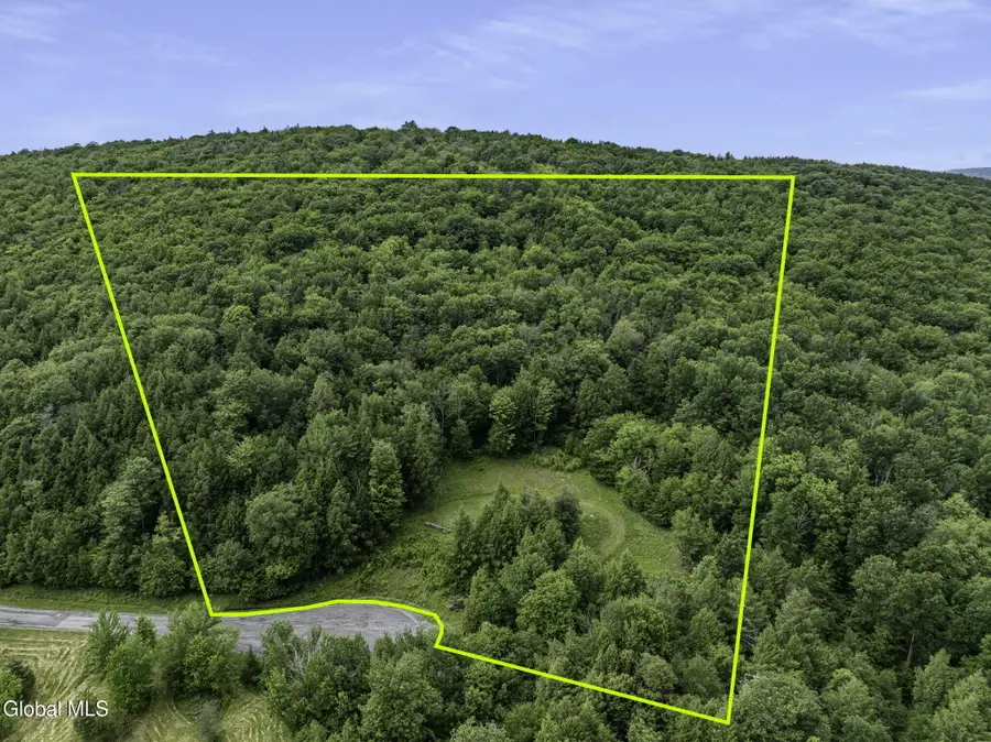 L28.2 Deer Lane, Lexington, NY 12452 - #2