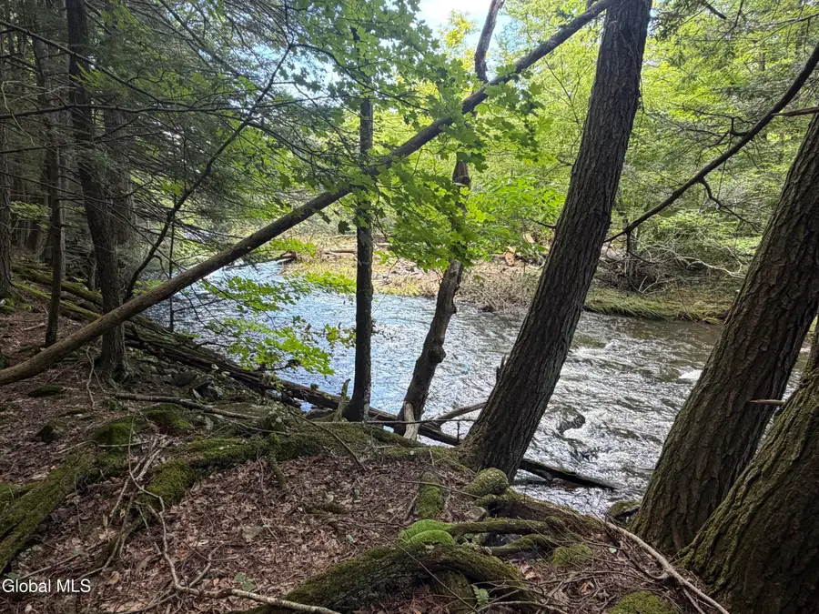 0 Laurie Lane, Cairo, NY 12413 - #3