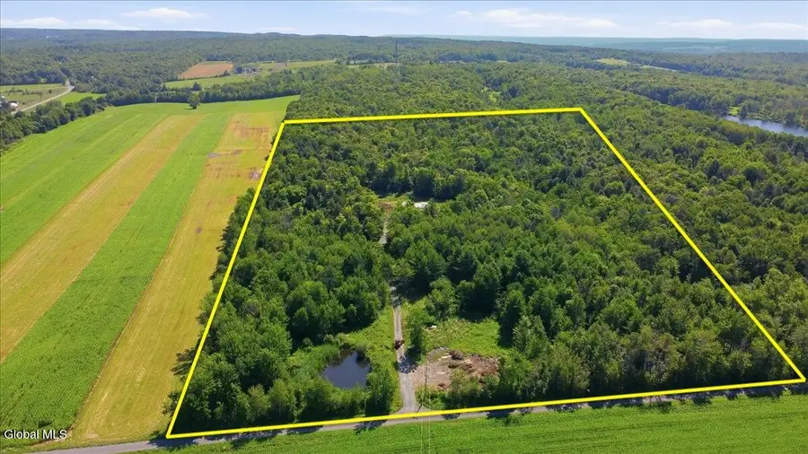 585 N Knight Road, Delanson, NY 12053 - #2