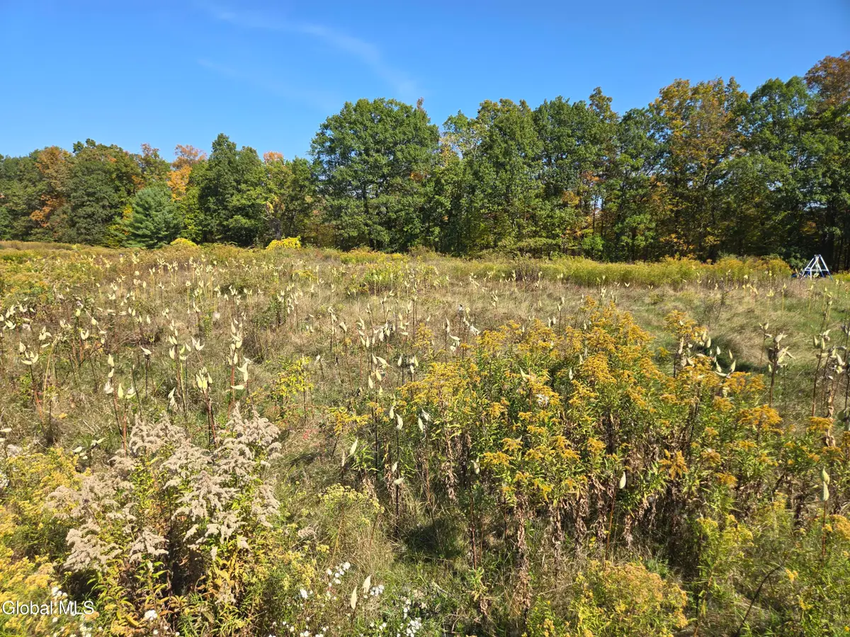 L23 Sunny Hill Acrs, Greenville, NY 12083 - #1
