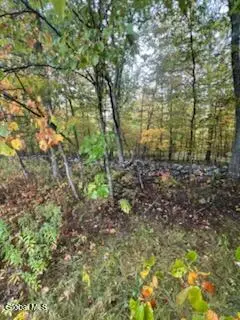 L23 Sunny Hill Acrs, Greenville, NY 12083 - #3