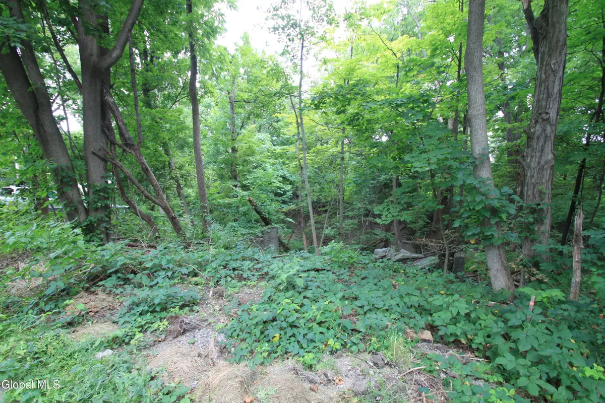 31-33 Spring Street, Hudson, NY 12534 - #1