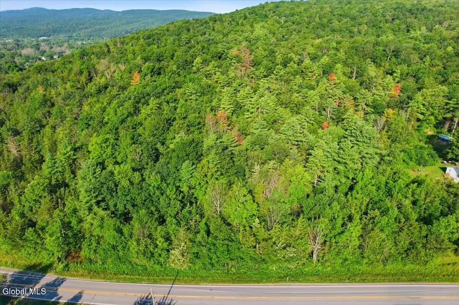 L31.010 County Route 9a, Whitehall, NY 12887 - #2