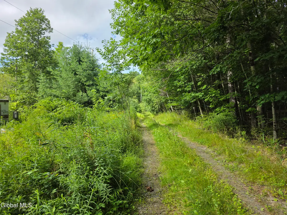 73 Brainard Road, Stephentown, NY 12018 - #1