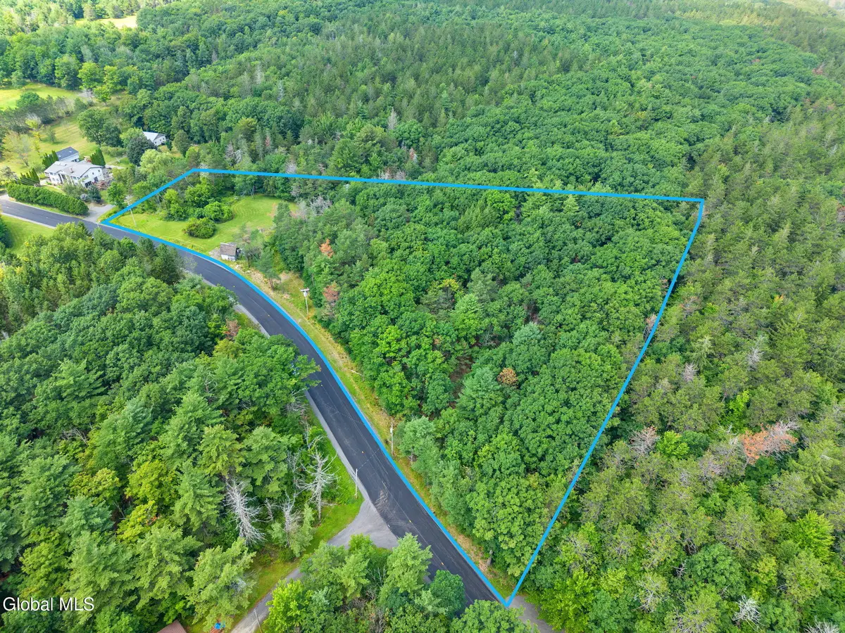 533 Willsie Road, Berne, NY 12059 - #1