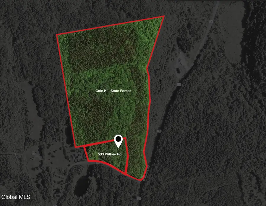 533 Willsie Road, Berne, NY 12059 - #2