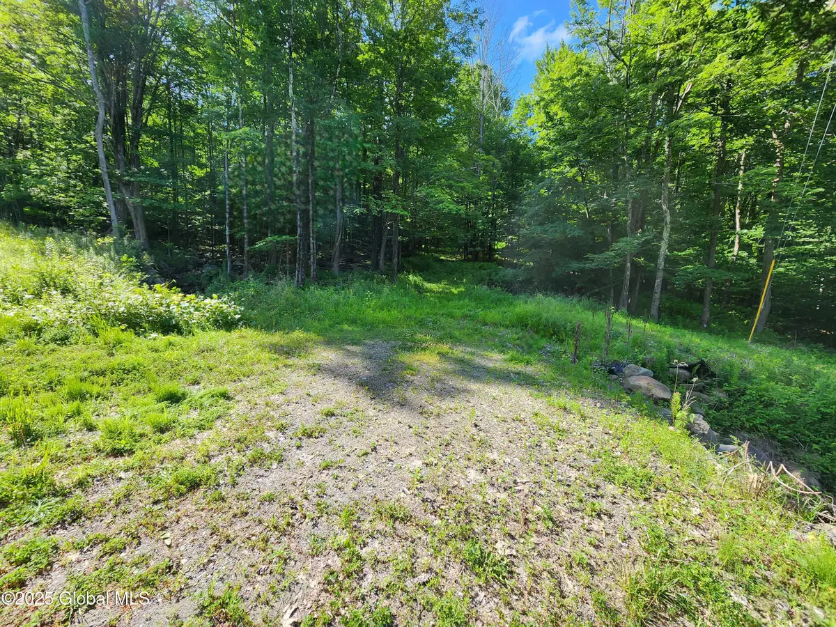 140 Roaser Road, Sand Lake, NY 12153 - #1