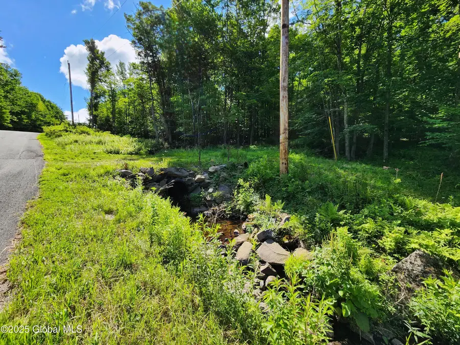 140 Roaser Road, Sand Lake, NY 12153 - #3