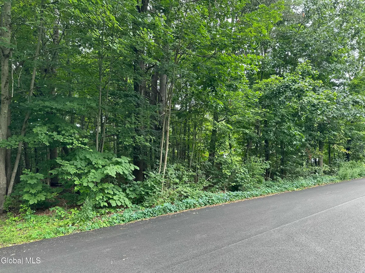 L28 Carl Avenue, Greenwich, NY 12834 - #1