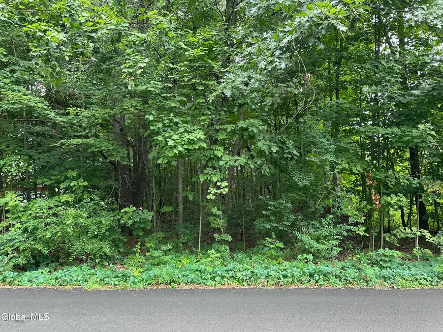 L28 Carl Avenue, Greenwich, NY 12834 - #3