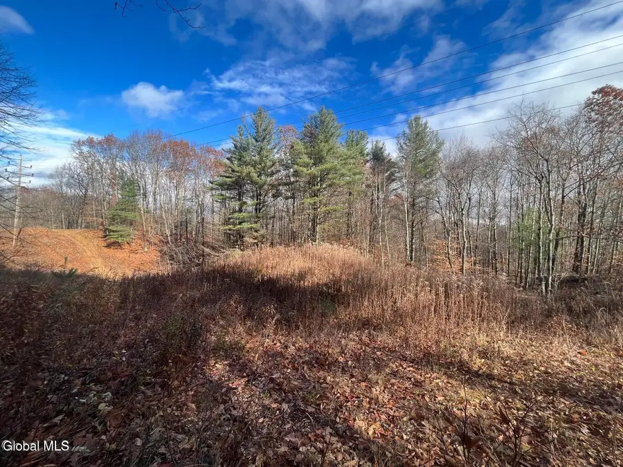 2-38.11 Spring Avenue, Gloversville, NY 12078 - #3