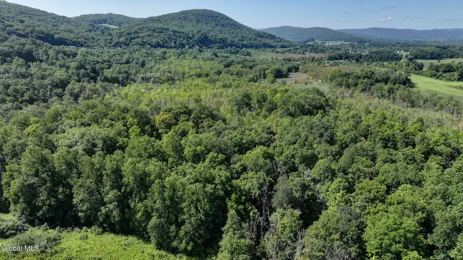 L01 Fox Hollow Lane, East Fishkill, NY 12533 - #2