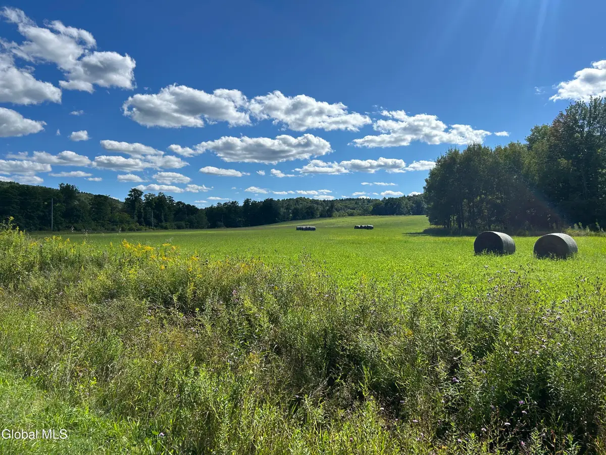 711 Gifford Hollow Road, Berne, NY 12023 - #1