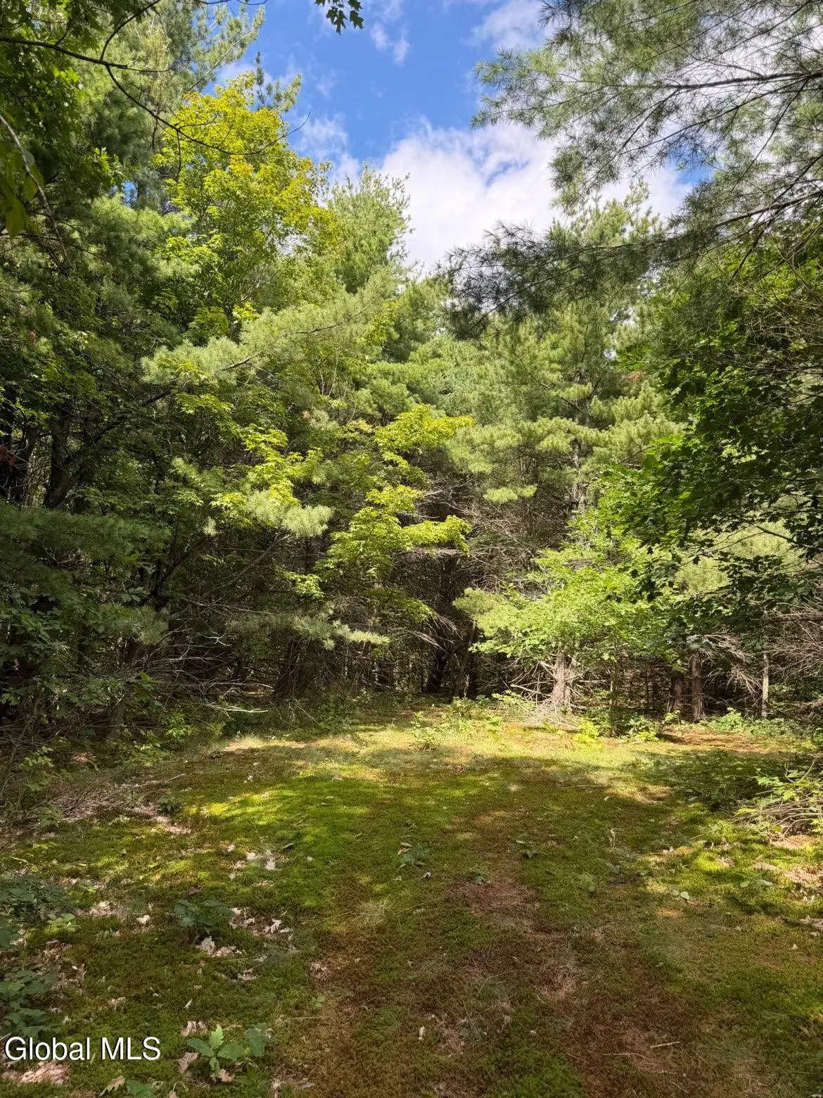218 Irish Hill Road, Berne, NY 12059 - #1