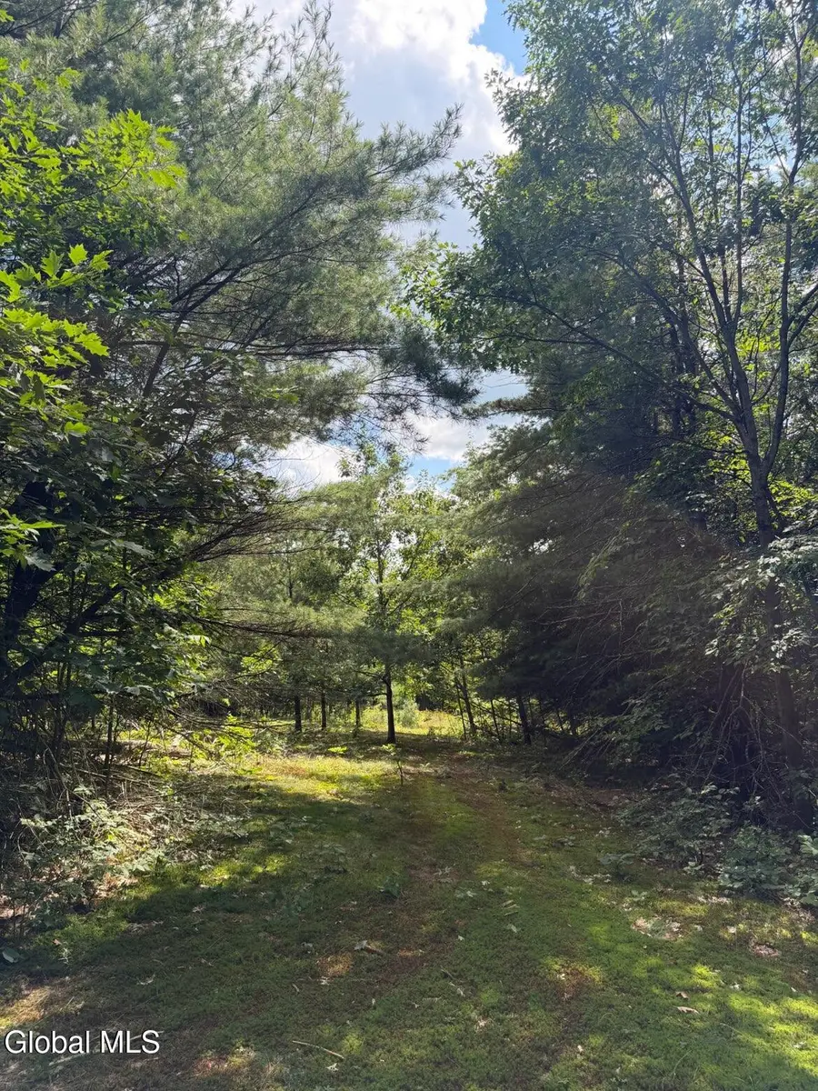 218 Irish Hill Road, Berne, NY 12059 - #3