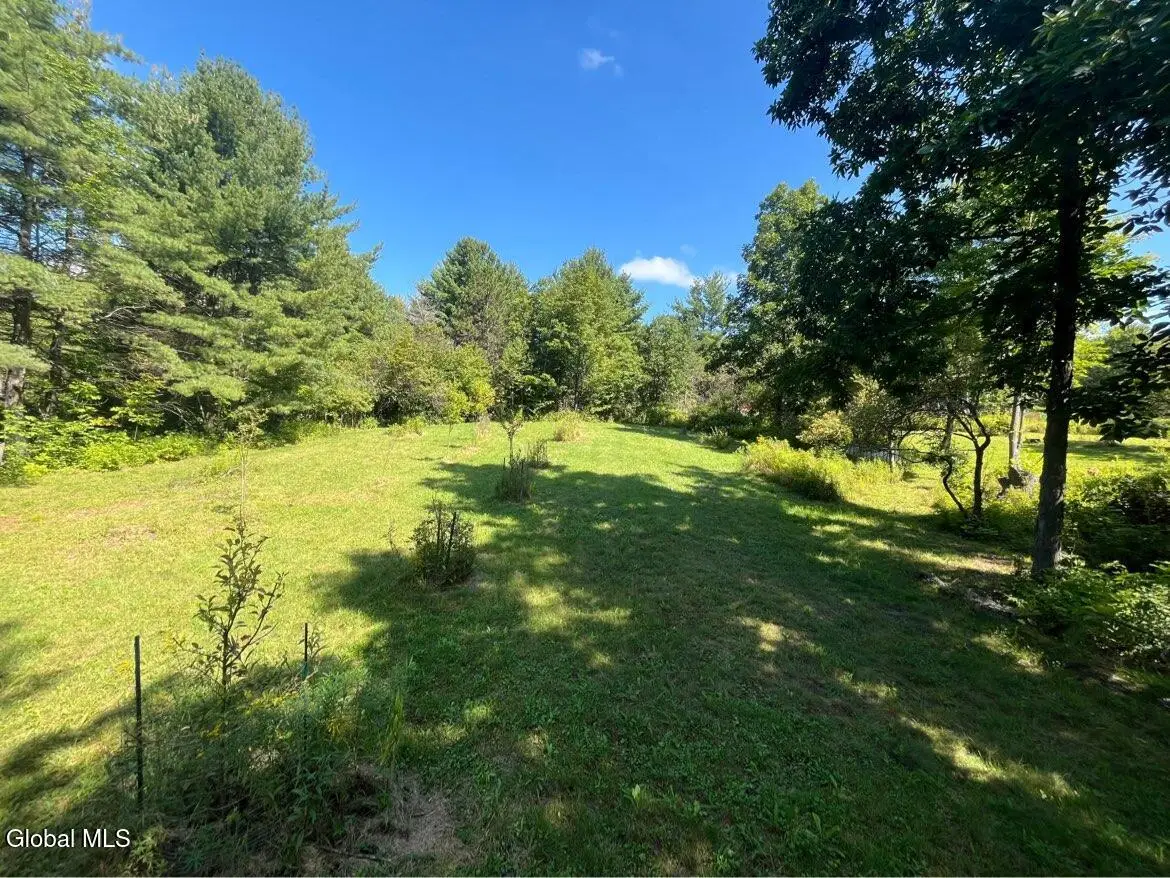 192 Irish Hill Road, Berne, NY 12059 - #1