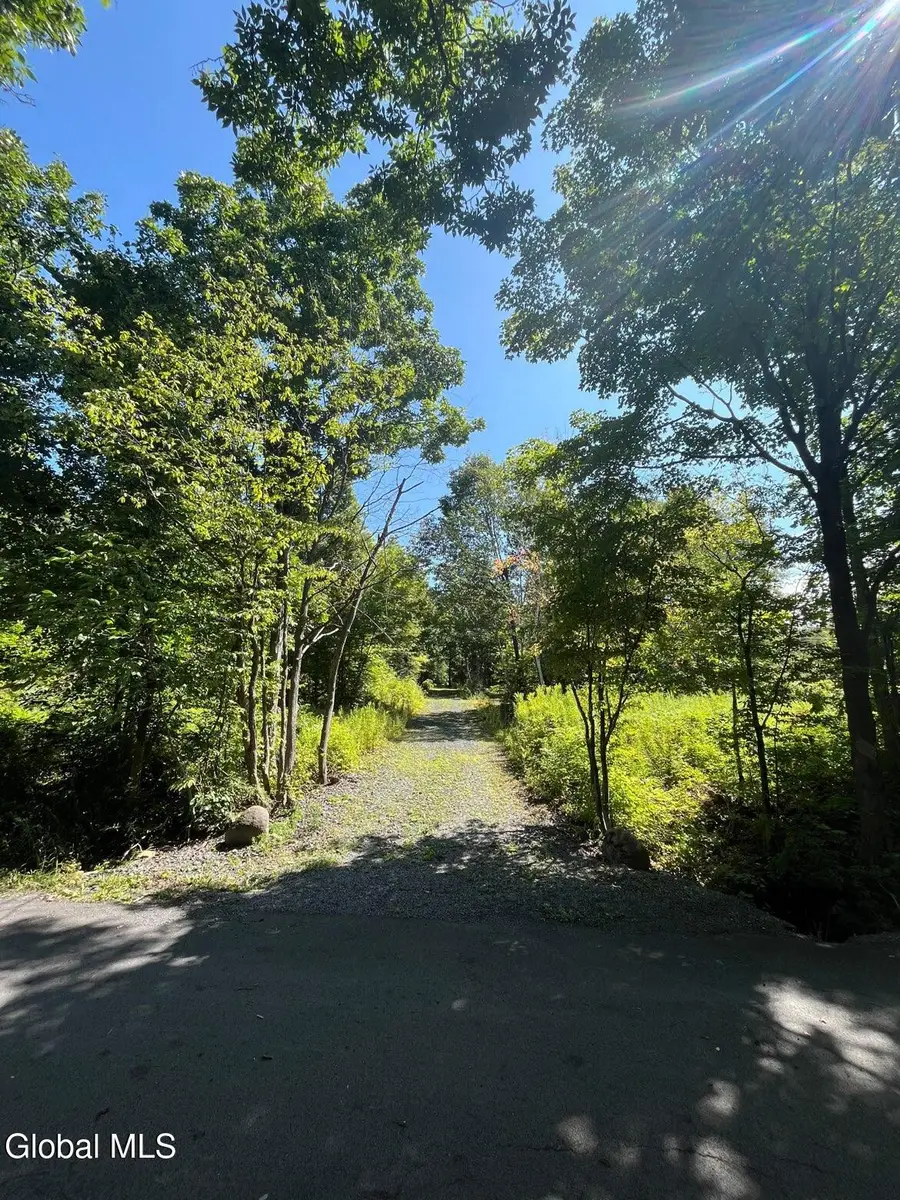 192 Irish Hill Road, Berne, NY 12059 - #2