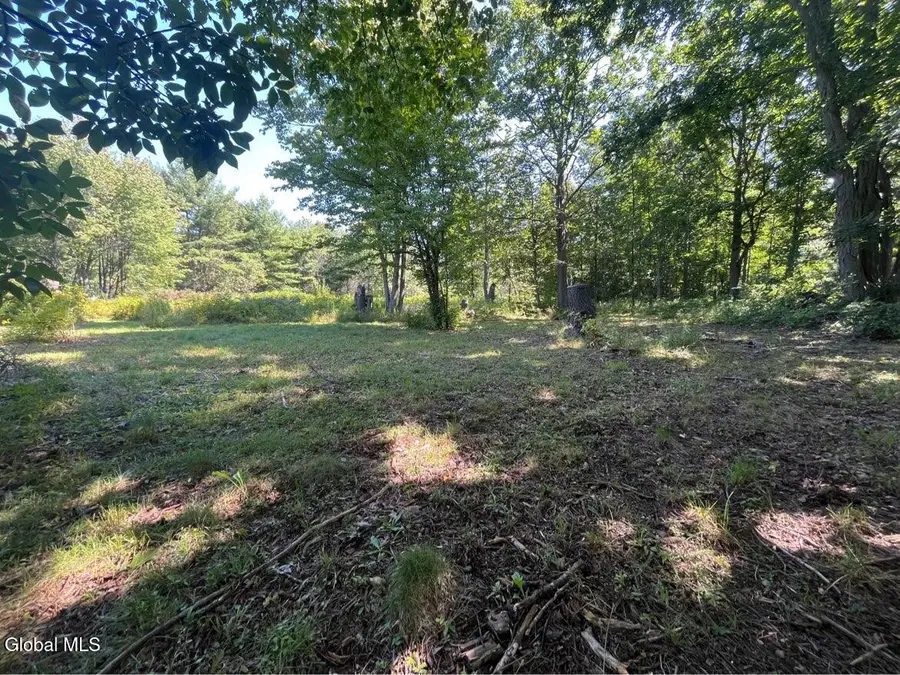 192 Irish Hill Road, Berne, NY 12059 - #3