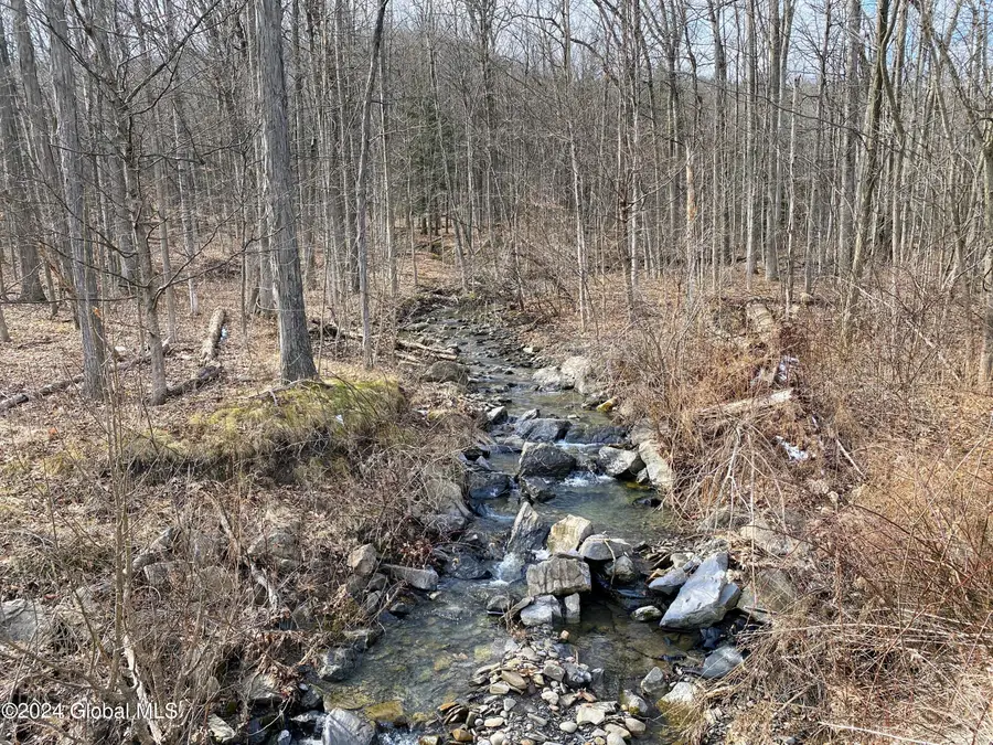 890 Altamont Road, Guilderland, NY 12009 - #3