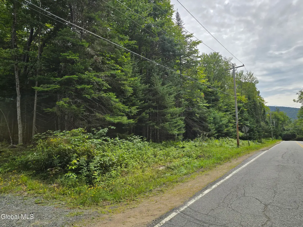 608 S Shore Road, Speculator, NY 12164 - #1