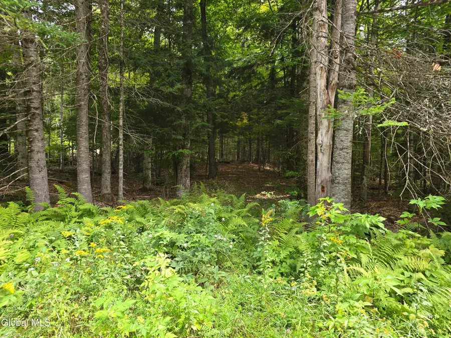 608 S Shore Road, Speculator, NY 12164 - #2