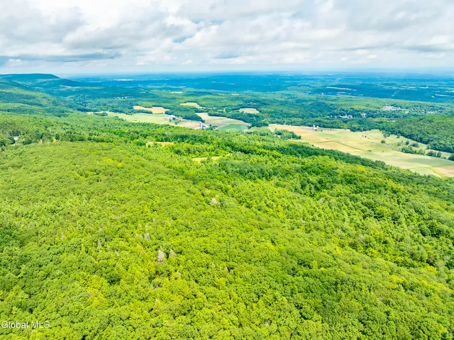 L4.3 Cass Hill Road, Feura Bush, NY 12186 - #2