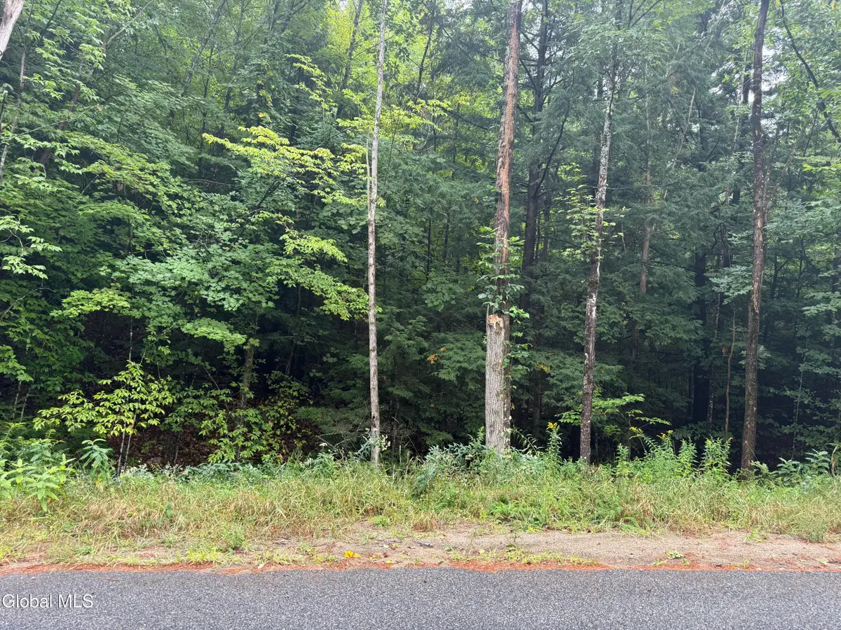 00.00 Parker Cross Road, Thurman, NY 12885 - #1