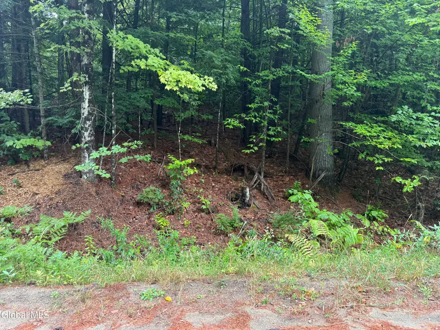 00.00 Parker Cross Road, Thurman, NY 12885 - #2