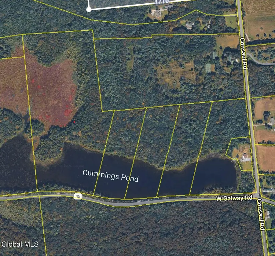 1585 W Galway Road, Galway, NY 12074 - #2