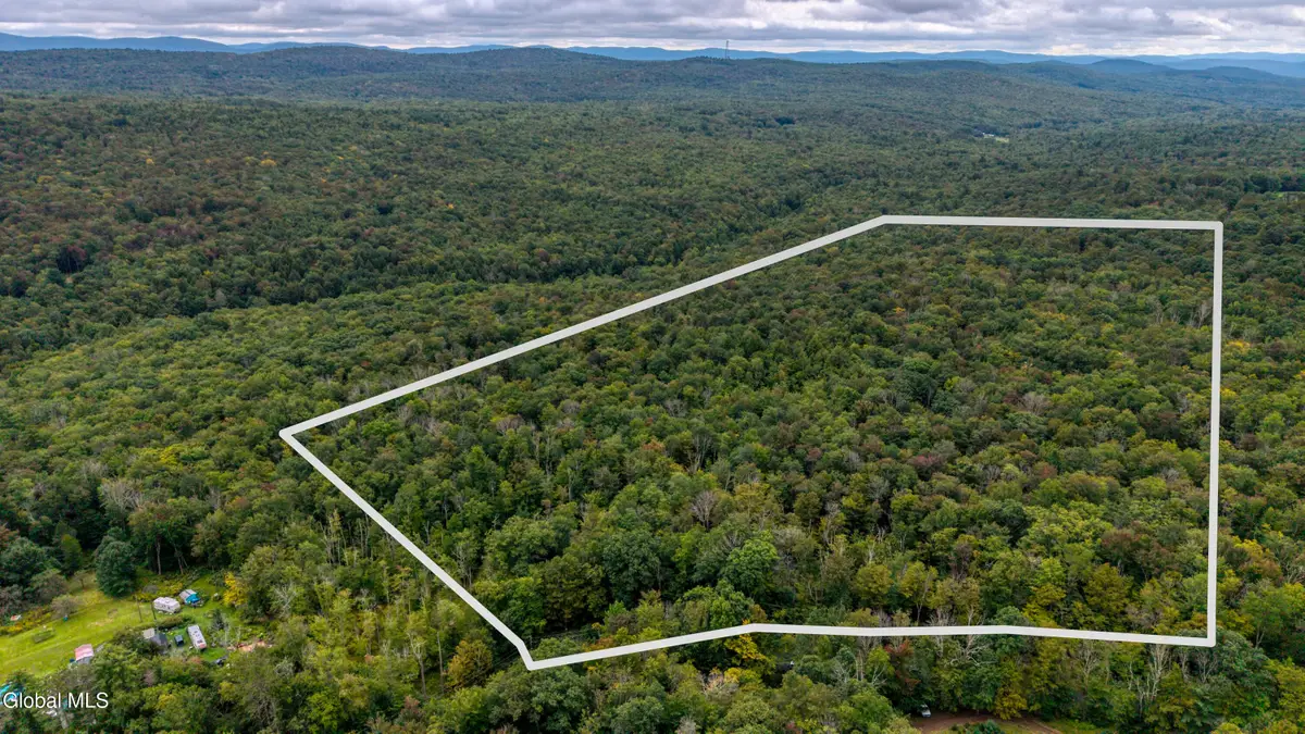 0 Walk Rd Road, Sand Lake, NY 12153 - #1