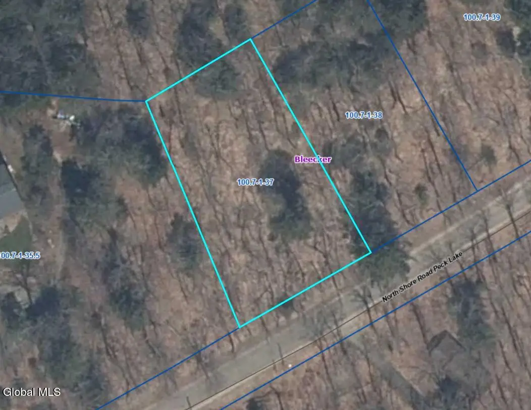 Lot 54 Hemlock Drive, Bleecker, NY 12078 - #1