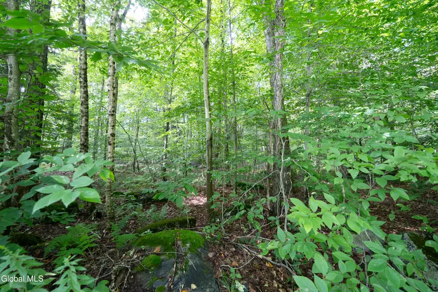 Lot 54 Hemlock Drive, Bleecker, NY 12078 - #3