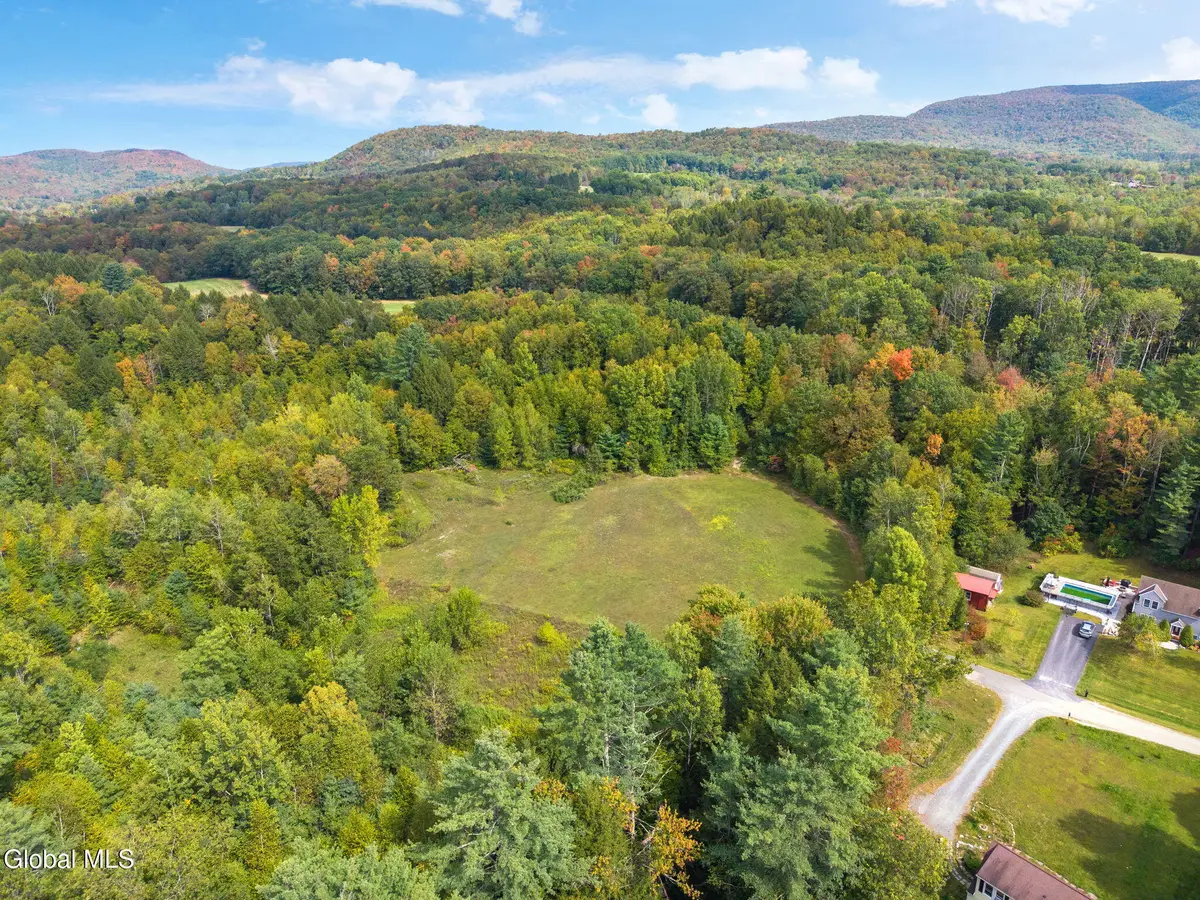 L113 Upper Hemlock Ridge Way, Stephentown, NY 12168 - #1
