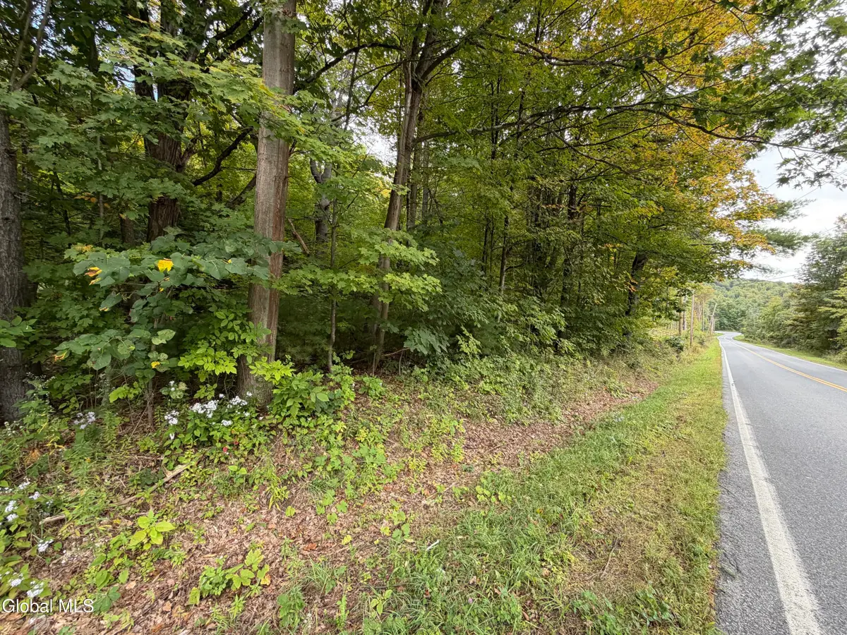 1542 Cr 21, Whitehall, NY 12887 - #1