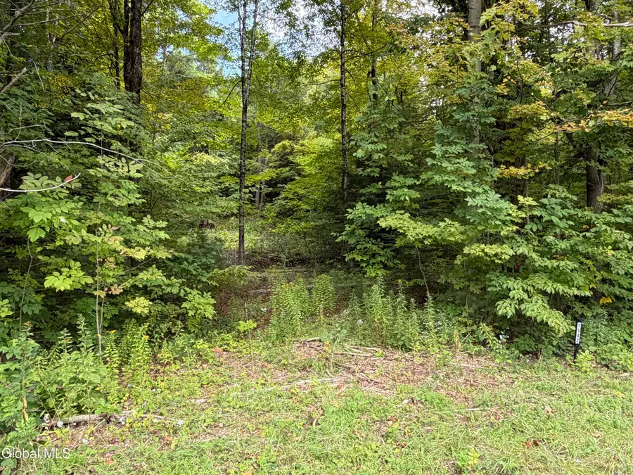 1542 Cr 21, Whitehall, NY 12887 - #2