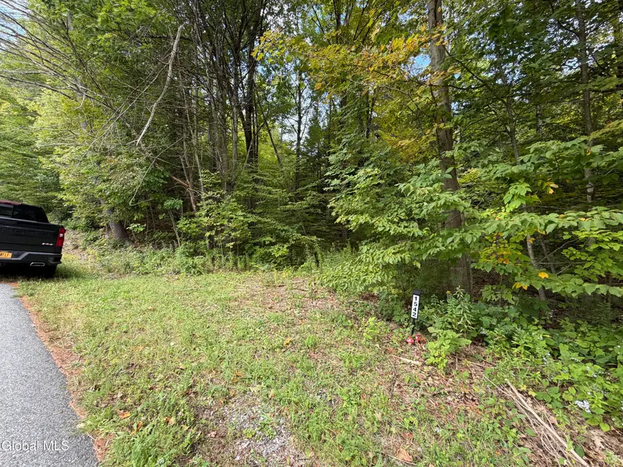 1542 Cr 21, Whitehall, NY 12887 - #3