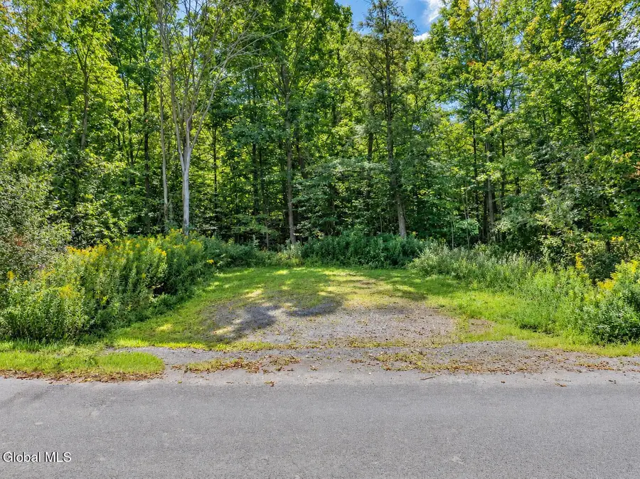 595 S Shore Road, Delanson, NY 12053 - #2