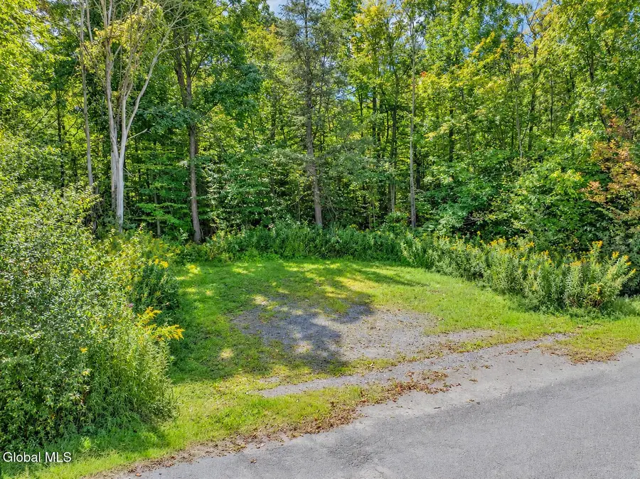 595 S Shore Road, Delanson, NY 12053 - #3